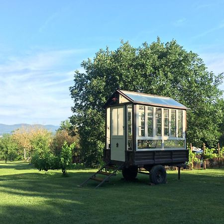 Agriturismo Poggio Salvi Совічілле Екстер'єр фото