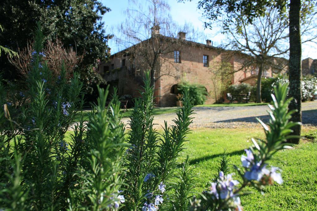 Agriturismo Poggio Salvi Совічілле Екстер'єр фото